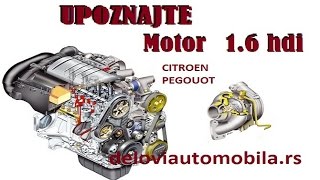 Upoznajte motor 16 hdi [upl. by Iglesias155]