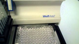 Thermo Matrix Wellmate 8Channel Microplate Dispenser 96384 Well Plates  6068 [upl. by Euqirat]