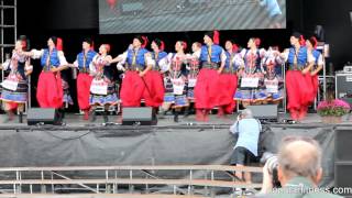 Volya  Black Sea Cossacks Dance  Toronto Ukrainian Festival [upl. by Kathleen777]