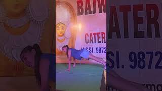 Dola Re Dola short video dance performance [upl. by Elwin478]