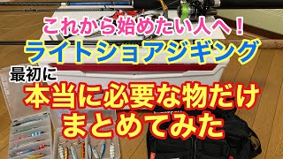 【入門】お金を掛けず無駄買いナシ！結局何を買えばいいのか！【ライトショアジギング】 [upl. by Arutnev960]