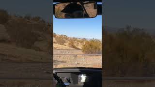 Stoddard Wells Kawasaki Teryx 800 offroading [upl. by Eceirehs]