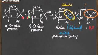 Q 11 Disaccharide [upl. by Torin]