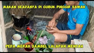 Kehidupan Di Pondok Kebun Makan Seadanya Sambel Lalapan Mentah Sangat Nikmat [upl. by Aelsel]