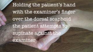 scaphoid examination [upl. by Randie]