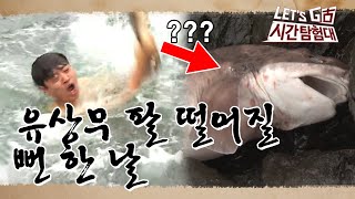 51 도미의 정체는 상어 유상무한테 잡힌 상어의 소름끼치는 소리 렛츠고시간탐험대2 [upl. by Aeret566]