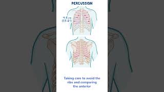 Assessment Clips Assessment of the thorax and lungs [upl. by Eiger]