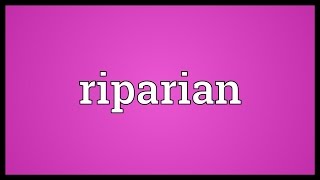 Riparian Meaning [upl. by Lewie]