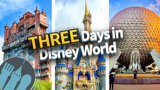 The ULTIMATE 3 Day Disney World Trip Itinerary [upl. by Anita948]