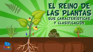 El reino de las plantas Sus características y clasificación  Vídeos Educativos para Niños [upl. by Derby972]