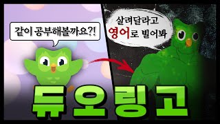 듀오링고는 대체 어쩌다 이런 이미지가 되었는가 [upl. by Elsey]