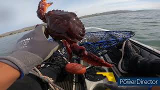 Bodega Bay Camping Crabbing Catch and Cook pt1 [upl. by Gault]