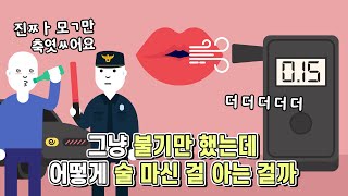 음주 측정기를 불기만 했는데 어떤 원리로 술을 마신 걸 아는 걸까 [upl. by Virgil924]