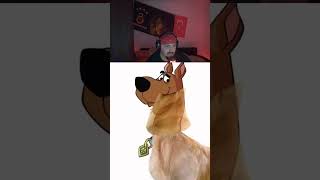 Scoopy Doo im echten Leben shorts shortvideo shortsvideo viralshorts viralvideo tiktok [upl. by Steffy]