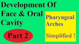 Development of face amp oral cavity  Part 2 PHARYNGEAL ARCHES [upl. by Meredeth]