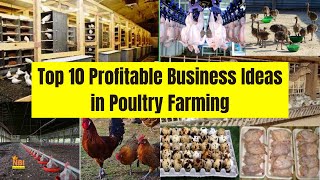 Top 10 Profitable Business Ideas in Poultry Farming Industry [upl. by Eerahc]