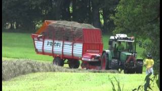 Urlaub auf dem Bauernhof Ein Erlebnistag auf dem Schorer Hof [upl. by Auqeenahs]