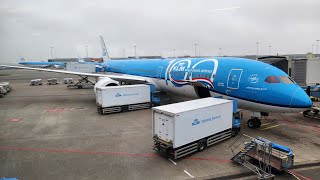 KLM Business Class Flight Review 78710 [upl. by Sachs]