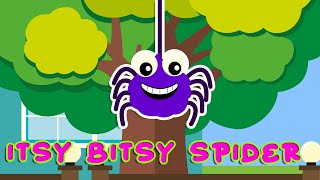 ITSY BITSY SPIDER  Song for Children [upl. by Sewoll]