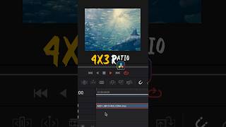 4x3 Aspect Ratio in DaVinci Resolve [upl. by Regan432]