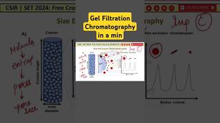 Gel Filtration Chromatography  Size Exclusion Chromatography  Biodotcom in a min  Shorts [upl. by Airam]