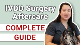 How to Care for a Dog After IVDD Surgery  Instructions Guide [upl. by Koball922]