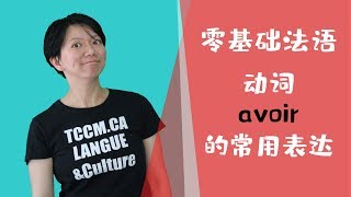 法语零基础 35 语法动词avoir的用法 [upl. by Rica]