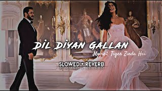 Dil Diyan Gallan Slowed  Reverb  Tiger Zinda Hai  Salman Khan  Katrina Kaif  Atif Aslam [upl. by Cleave]