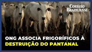 ONG ASSOCIA GRANDES FRIGORÍFICOS À DESTRUIÇÃO QUÍMICA DO PANTANAL [upl. by Nrol]