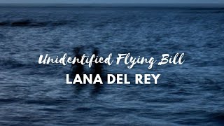 unreleased Lana Del Rey song  Unidentified Flying Bill Lyrics [upl. by Dovev]