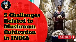 5 Challenges Related to Mushroom Farming in India  5 Problem in Mushroom Cultivation in India [upl. by Myo255]