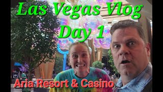 Las Vegas Vlog Day 1  Aria Resort amp Casino  Carbone Restaurant  Slot play [upl. by Jollanta610]