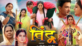 New Bhojpuri Picture Bindu Full Movie  Bhojpuri Movie 2024  Anjana Movie Explain  Review amp Facts [upl. by Alasdair885]