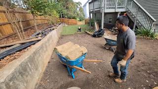 Fescue Sod  Drain Box installation  river rock  Landscape Drainage Solution By Brooks Landscaping [upl. by Llemij]