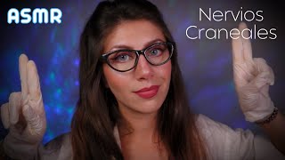 ASMR • Examen COMPLETO de NERVIOS CRANEALES  Roleplay Realista [upl. by Langston]