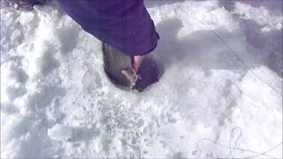 Piseco Lake Ice Fishing Lake Trout [upl. by Lux]