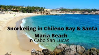 Snorkeling in Chileno Bay and Santa Maria Beach in Cabo San Lucas [upl. by Eile629]