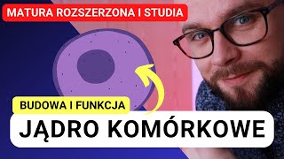 Budowa jądra komórkowego i jego funkcja [upl. by Ijat]