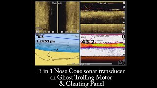 Watch Lowrance 3in1 Nose Cone Sonar Showing a School of Shad with Game Fish and Lures Being Fished [upl. by Enaillil203]