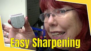 Easy How to Sharpen 5n1 Wahl Adjustable Blades by Hand  Bonika Shears [upl. by Yager309]