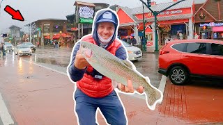 Catching MASSIVE Fish in Downtown Gatlinburg TN [upl. by Granger]