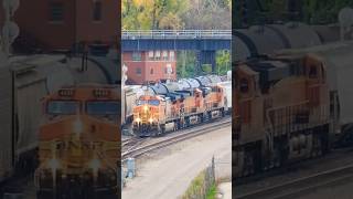 BNSF GRAINER CHASES A MANIFEST NB PASS SFJ bnsftrains railroad bnsfrailroad bnsfrailway [upl. by Sabah]