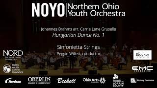 quotHungarian Dance No 1quot Brahms  NOYO Sinfonietta Strings [upl. by Adnaval]