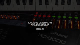 KARAOKE PIANO VERSION  VIA DOLOROSA MALE [upl. by Yrelav765]