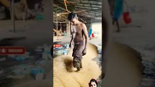 experiment murmur woodworking murmurusika funny agriculture food making viralreels murmu [upl. by Pierro701]