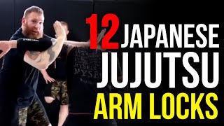 Top 12 Combat Japanese Jujutsu Arm Locks  Unarmed amp VS Weapons [upl. by Kcirttap793]