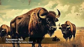 Buffalo Skinners Spaceman Bob Big Country Cover [upl. by Natty]