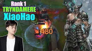 RANK 1 TRYNDAMERE  XIAOHAO TRYNDAMERE VS JAX  XIAOHAO STREAM [upl. by Ariamo490]