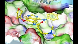 Ligand Docking in ICM Small Molecules Fragments Covalent and TemplateBased Methods [upl. by Johns]