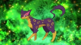 Purrloin and LiepardPoker Face ＡＭＶ [upl. by Namien]